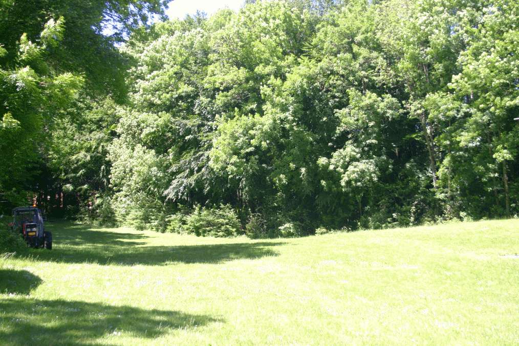 Pfingsten2009_HPZ (32)