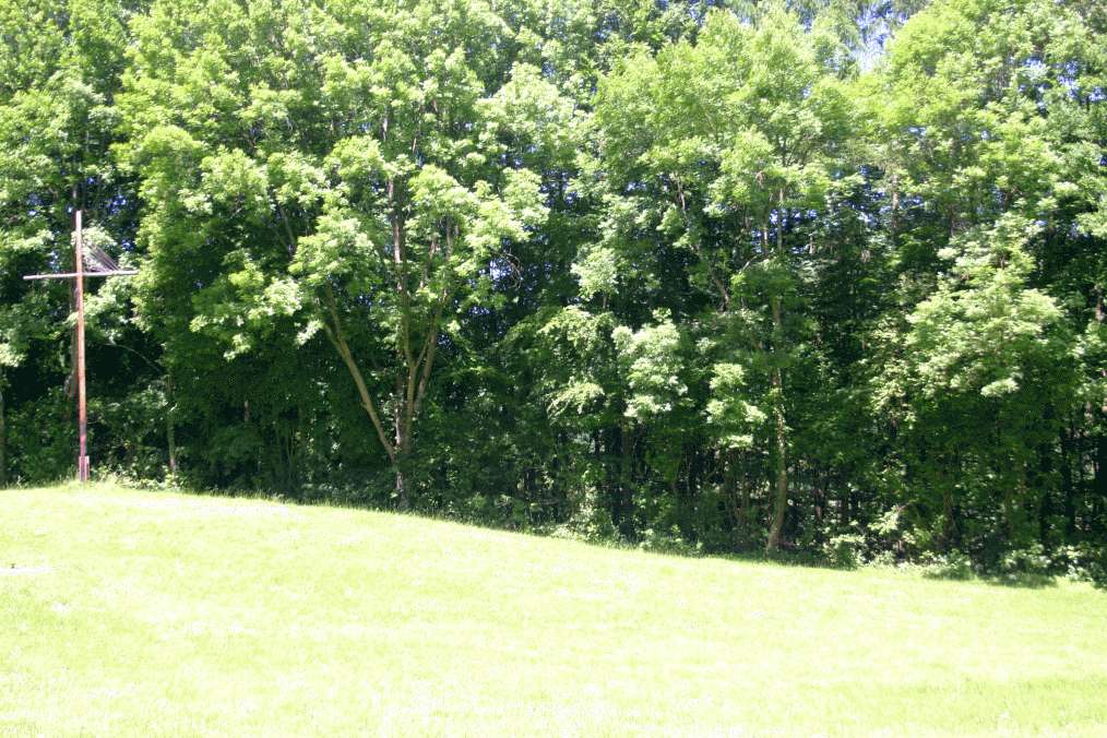 Pfingsten2009_HPZ (34)