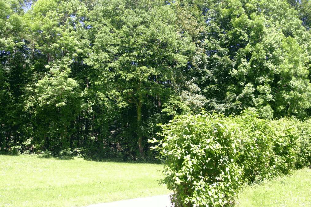 Pfingsten2009_HPZ (35)