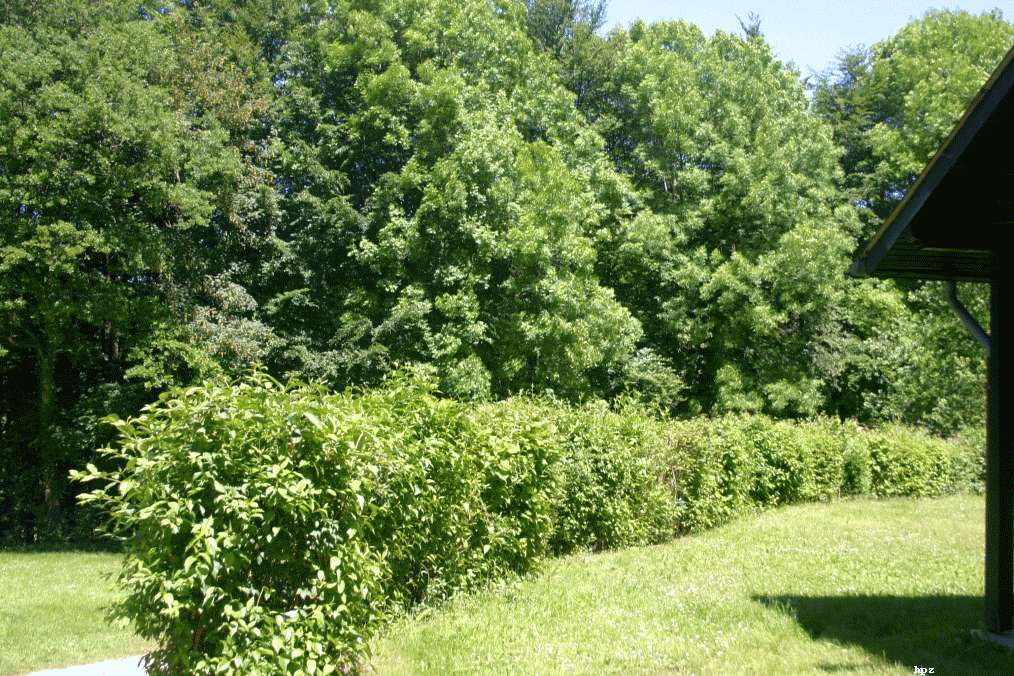 Pfingsten2009_HPZ (36)