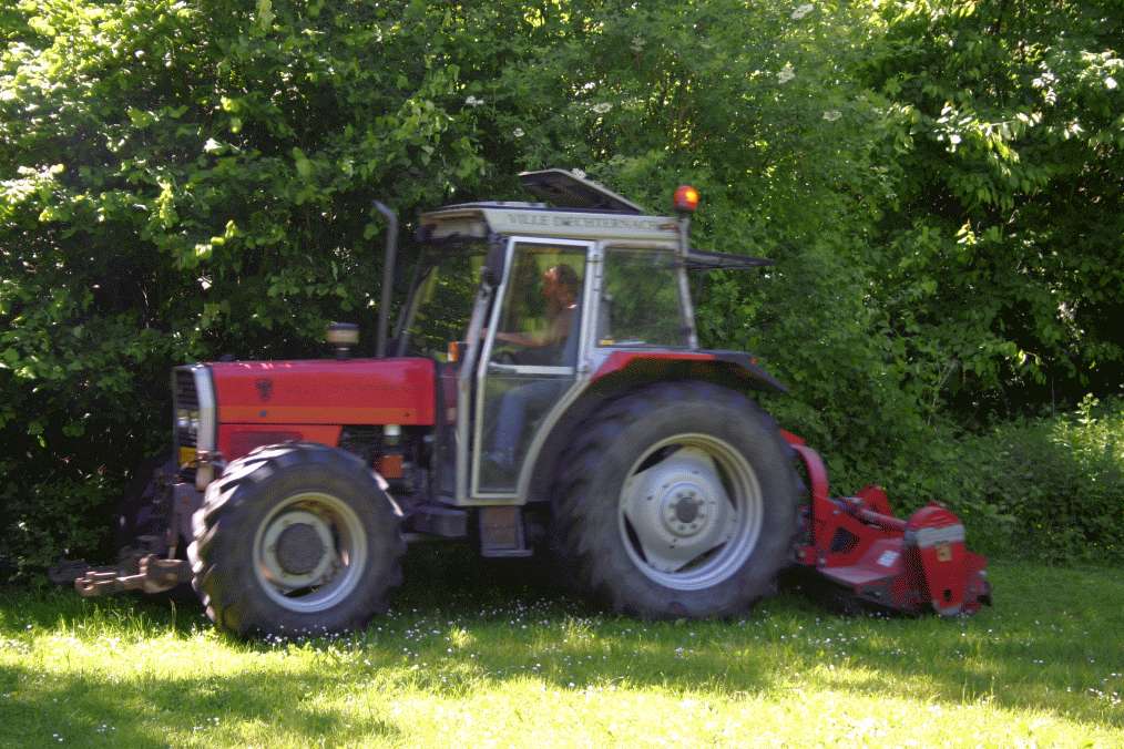 Pfingsten2009_HPZ (39)