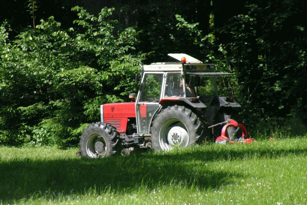 Pfingsten2009_HPZ (47)