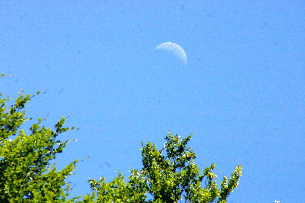 Pfingsten2009_HPZ (49)